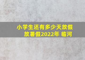 小学生还有多少天放假放暑假2022年 临河