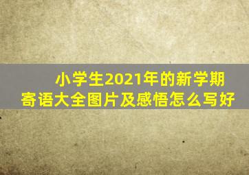 小学生2021年的新学期寄语大全图片及感悟怎么写好