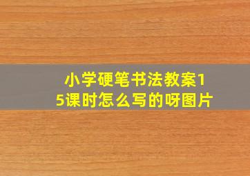 小学硬笔书法教案15课时怎么写的呀图片