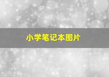 小学笔记本图片