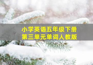 小学英语五年级下册第三单元单词人教版