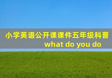 小学英语公开课课件五年级科普what do you do