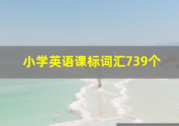 小学英语课标词汇739个