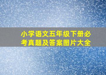 小学语文五年级下册必考真题及答案图片大全