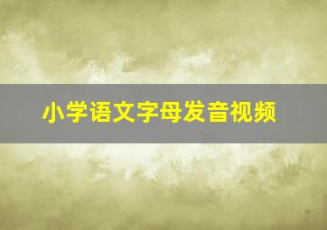 小学语文字母发音视频