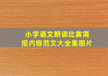 小学语文朗读比赛简报内容范文大全集图片