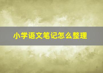 小学语文笔记怎么整理