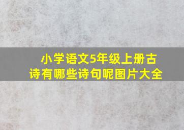 小学语文5年级上册古诗有哪些诗句呢图片大全