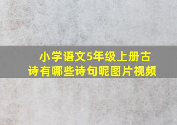 小学语文5年级上册古诗有哪些诗句呢图片视频