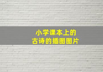 小学课本上的古诗的插图图片