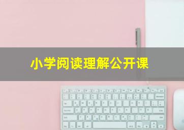 小学阅读理解公开课