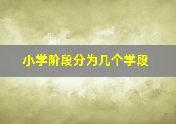 小学阶段分为几个学段