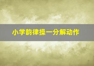 小学韵律操一分解动作