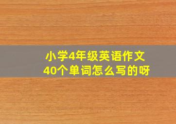 小学4年级英语作文40个单词怎么写的呀