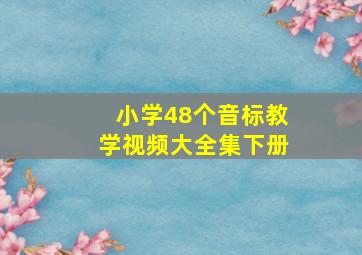 小学48个音标教学视频大全集下册