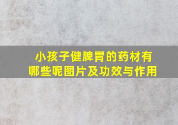 小孩子健脾胃的药材有哪些呢图片及功效与作用