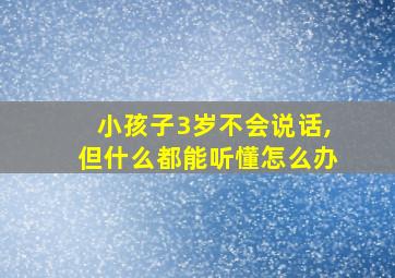 小孩子3岁不会说话,但什么都能听懂怎么办