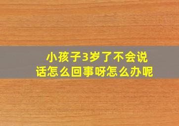 小孩子3岁了不会说话怎么回事呀怎么办呢