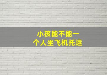 小孩能不能一个人坐飞机托运