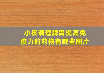 小孩调理脾胃提高免疫力的药物有哪些图片