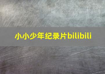 小小少年纪录片bilibili