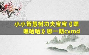 小小智慧树功夫宝宝《嘿嘿哈哈》哪一期cvmd