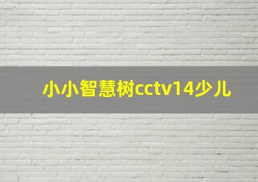 小小智慧树cctv14少儿