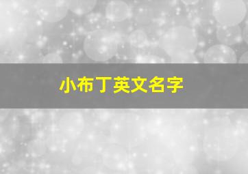 小布丁英文名字