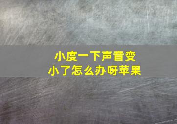 小度一下声音变小了怎么办呀苹果