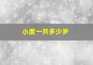 小度一共多少岁