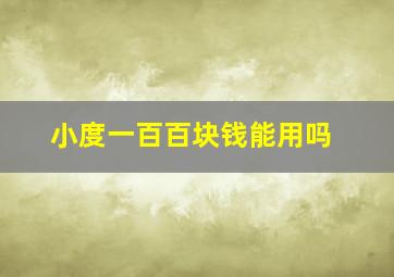 小度一百百块钱能用吗