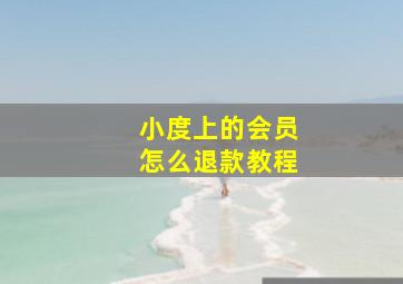 小度上的会员怎么退款教程