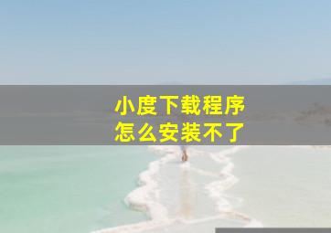 小度下载程序怎么安装不了