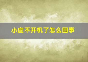 小度不开机了怎么回事