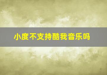 小度不支持酷我音乐吗