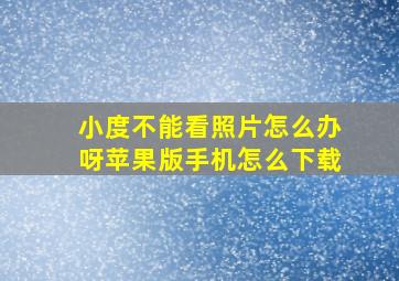 小度不能看照片怎么办呀苹果版手机怎么下载