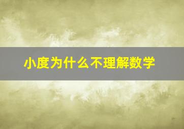 小度为什么不理解数学