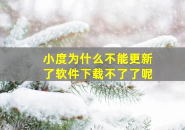 小度为什么不能更新了软件下载不了了呢