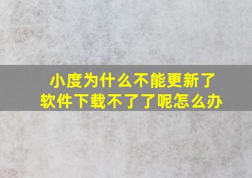 小度为什么不能更新了软件下载不了了呢怎么办