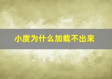 小度为什么加载不出来