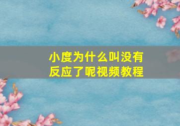 小度为什么叫没有反应了呢视频教程