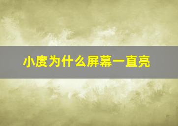 小度为什么屏幕一直亮