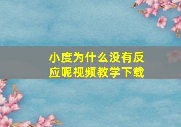 小度为什么没有反应呢视频教学下载