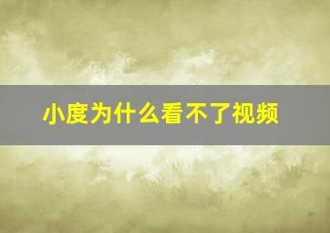 小度为什么看不了视频