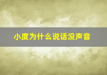 小度为什么说话没声音