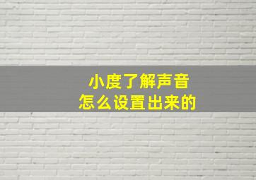 小度了解声音怎么设置出来的