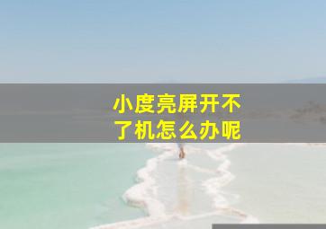 小度亮屏开不了机怎么办呢