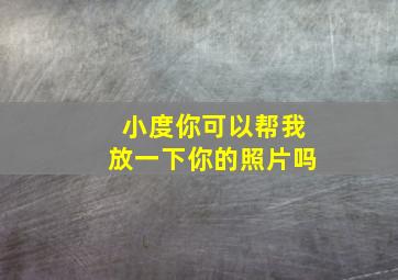 小度你可以帮我放一下你的照片吗