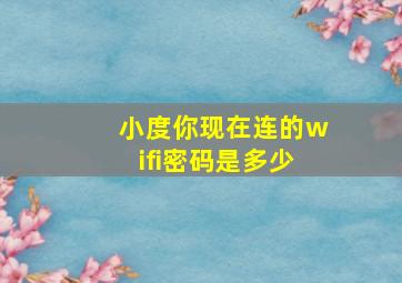 小度你现在连的wifi密码是多少