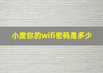 小度你的wifi密码是多少